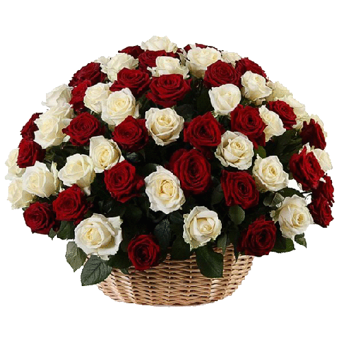 Фото товара 101 червоно-біла троянда в кошику