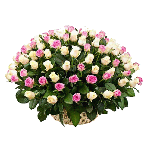 Фото товара 101 троянда мікс у кошику (кремова та рожева)
