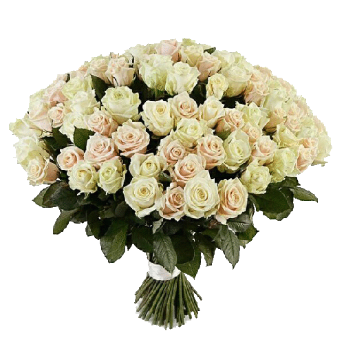 Фото товара 101 біло-кремова троянда