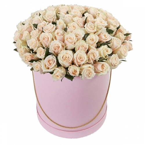 Фото товара 101 кремова троянда в капелюшній коробці