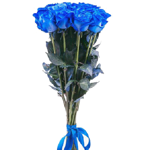 Фото товара 11 синіх троянд (фарбованих)