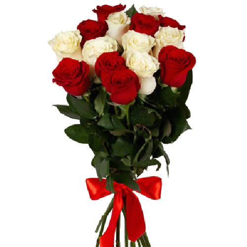 Фото товара 15 червоно-білих троянд