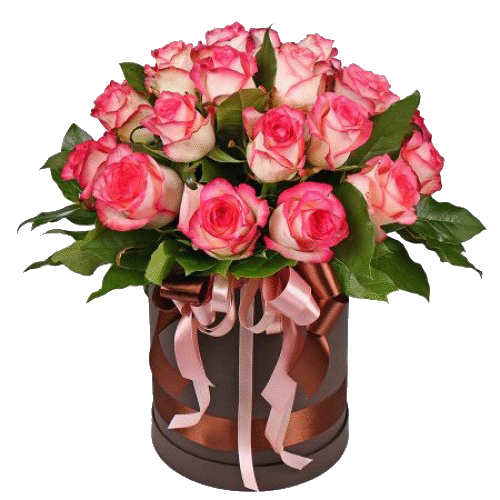 Фото товара 19 троянд "Джумілія" в капелюшній коробці