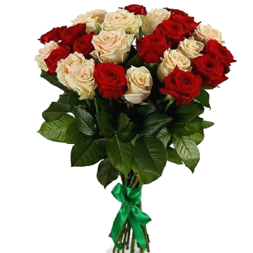Фото товара 25 червоно-кремових троянд
