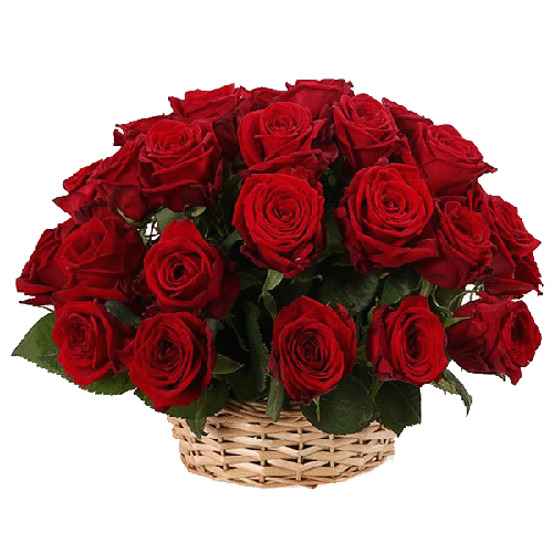 Фото товара 25 червоних троянд у кошику