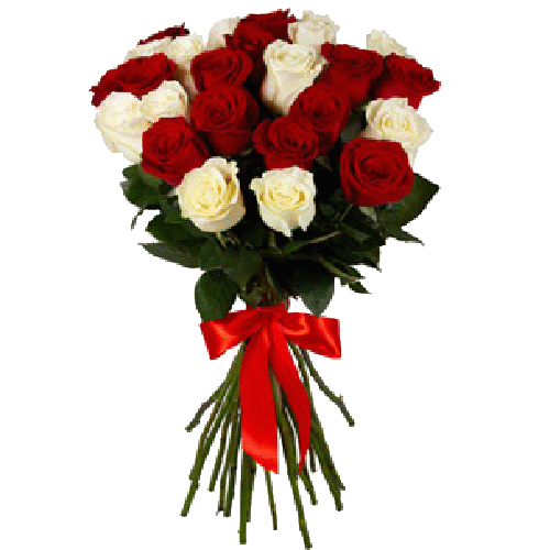 Фото товара 25 червоно-білих троянд