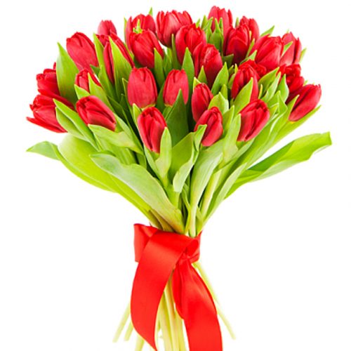 Фото товара 25 червоних тюльпанів