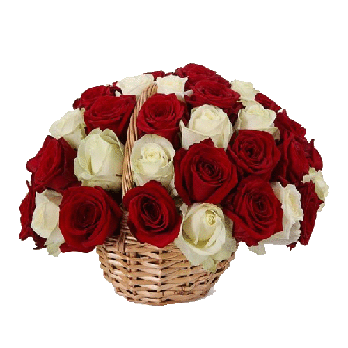 Фото товара 33 червоно-білі троянди в кошику