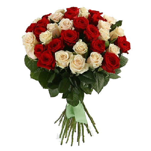 Фото товара 33 червоно-кремові троянди