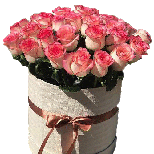 Фото товара 33 рожеві троянди в капелюшній коробці