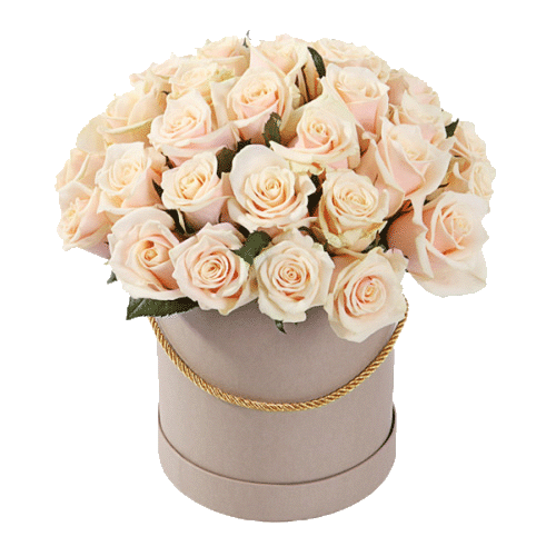 Фото товара 33 кремові троянди в коробці