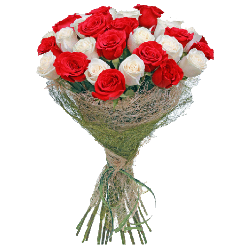 Фото товара 33 червоно-білі троянди