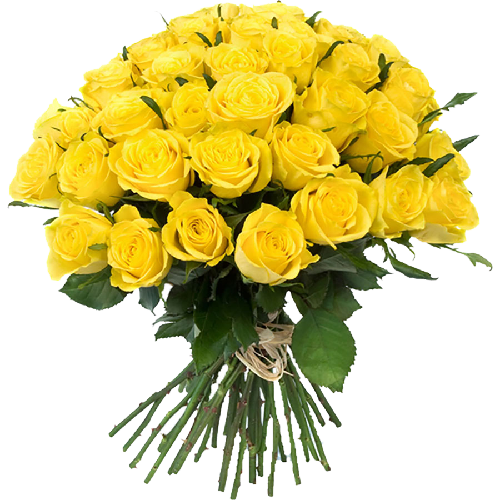Фото товара 33 жовті троянди