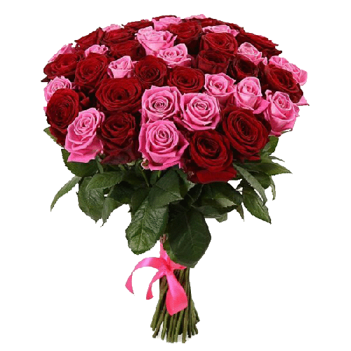 Фото товара 51 червоно-рожева троянда