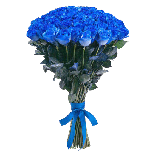 Фото товара 51 синя троянда (фарбована)