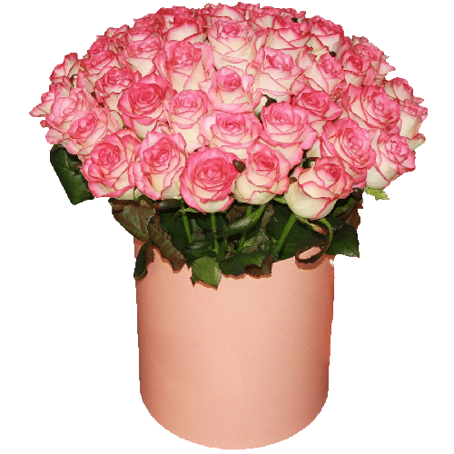 Фото товара 51 троянда "Джумілія" в коробці