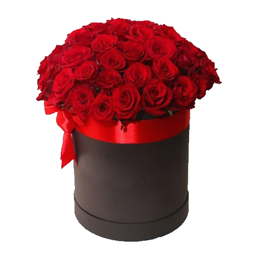 Фото товара 51 червона троянда в коробці