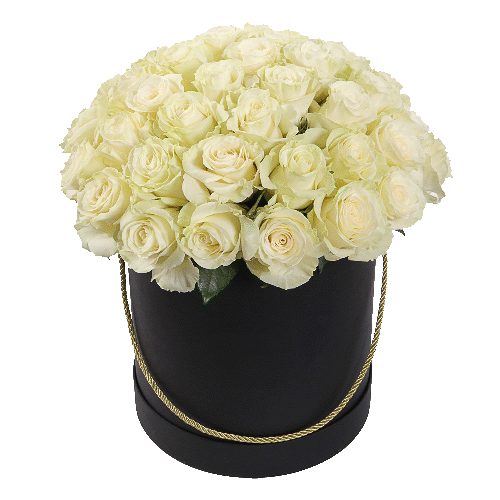 Фото товара 51 біла троянда в капелюшній коробці