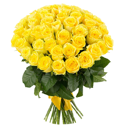 Фото товара 51 жовта троянда