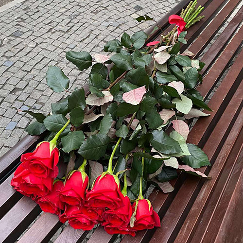 живе фото товару "11 метрових троянд"