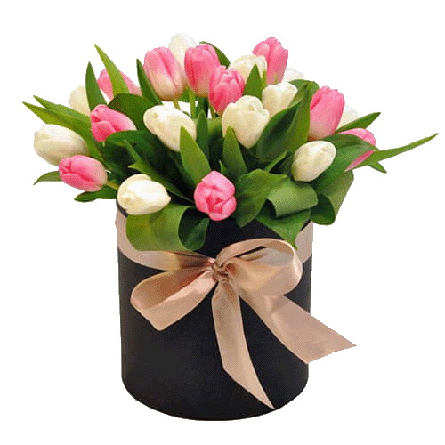 Фото товара 25 тюльпанів у капелюшній коробці