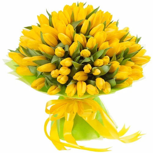 Фото товара 75 жовтих тюльпанів "Сяйво золота"
