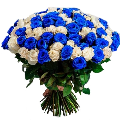 Фото товара 101 біла і синя троянда (фарбована)