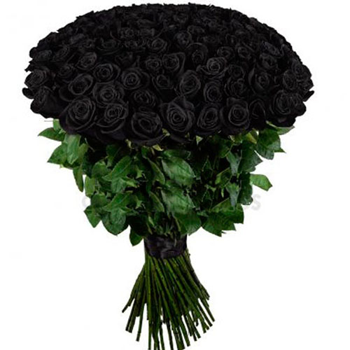 Фото товара 101 чорна троянда (фарбована)