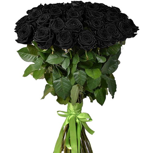 Фото товара 25 чорних троянд (фарбованих)