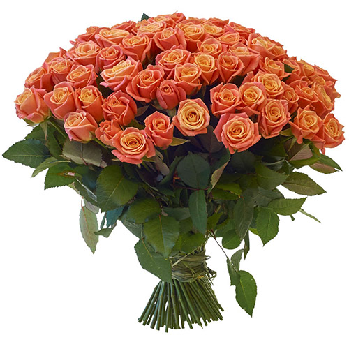 Фото товара 101 троянда "Міс Піггі"