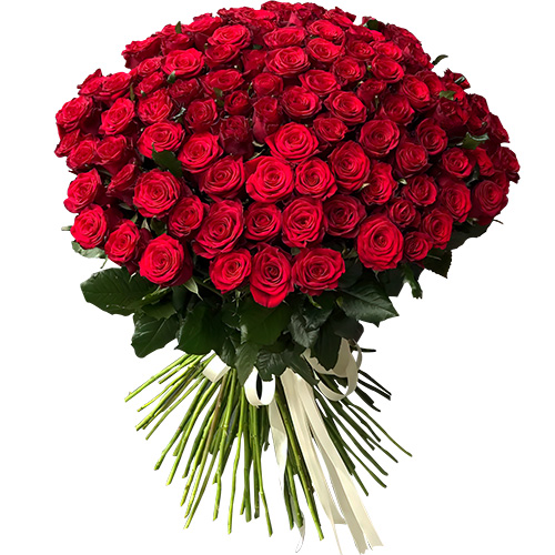 фото товара 101 троянда червона | «Яремче Букет»