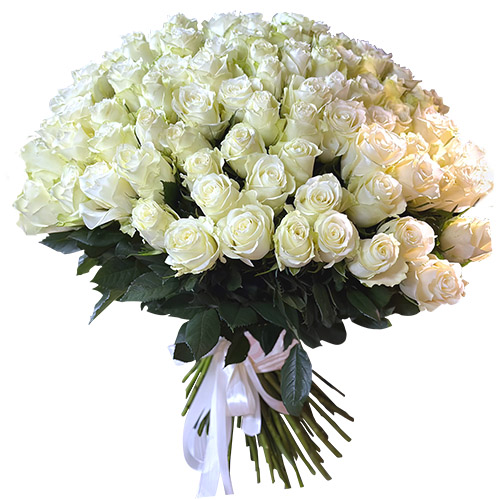 фото товара 101 біла імпортна троянда | «Яремче Букет»